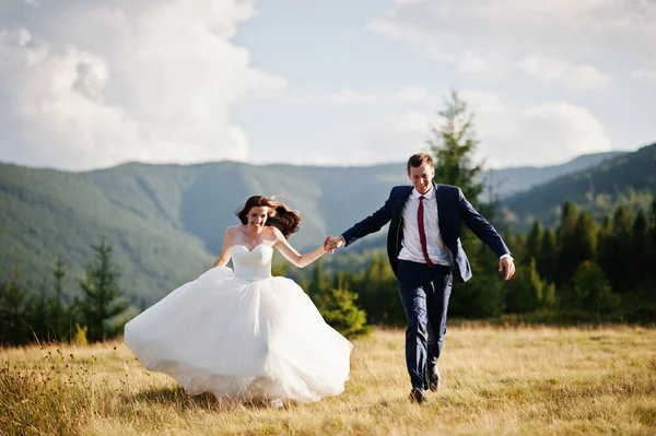 Hermosa pareja de boda en paisajes increíbles de Cárpatos mounta —  Fotos de Stock
