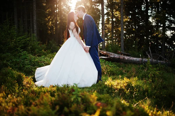 Mooie bruidspaar op zonsondergang in de Karpaten. — Stockfoto