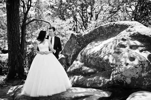 Lovely wedding couple at amazing landscapes with rock Dovbush, C — Stock Photo, Image