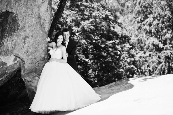 Schönes Hochzeitspaar in atemberaubender Landschaft mit Felsentaubenbusch, — Stockfoto
