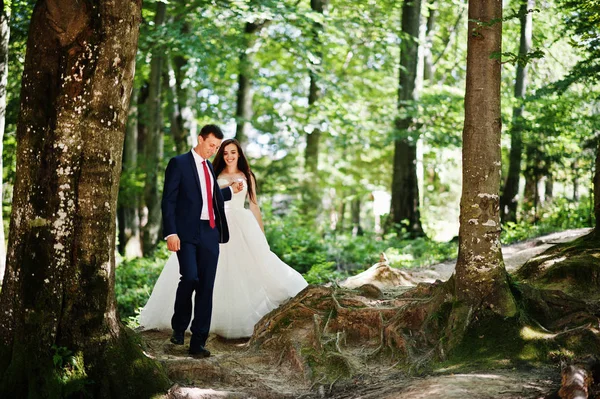 Casal encantador em paisagens incríveis andando sobre madeira . — Fotografia de Stock