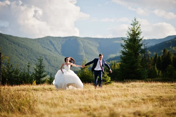 Lovely wedding couple at amazing landscapes of Carpathian mounta — Stock Photo, Image