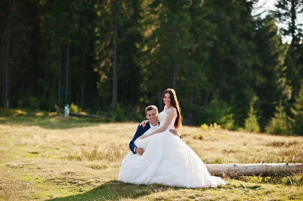 카 르 파 티아 mounta의 놀라운 풍경에서 사랑 스러운 웨딩 커플 — 스톡 사진