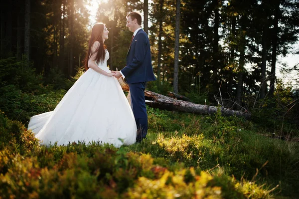 Lovely wedding couple on sunset at Carpathian mountains. — Stock Photo, Image