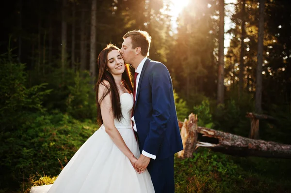 Beau couple de mariage au coucher du soleil dans les montagnes des Carpates . — Photo