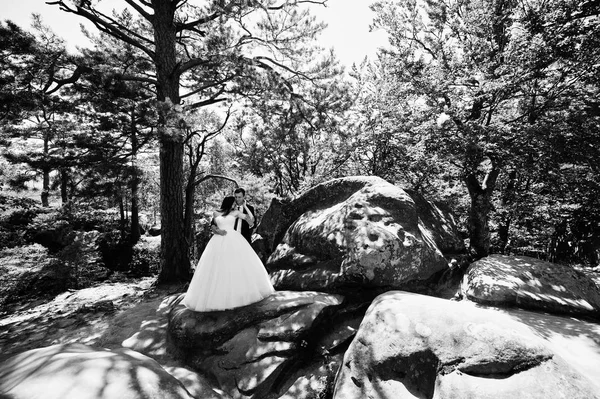 Lovely wedding couple at amazing landscapes with rock Dovbush, C — Stock Photo, Image