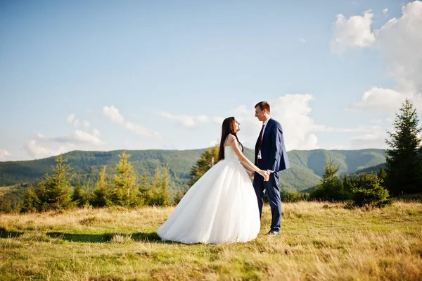 Lovely wedding couple at amazing landscapes of Carpathian mounta — Stock Photo, Image