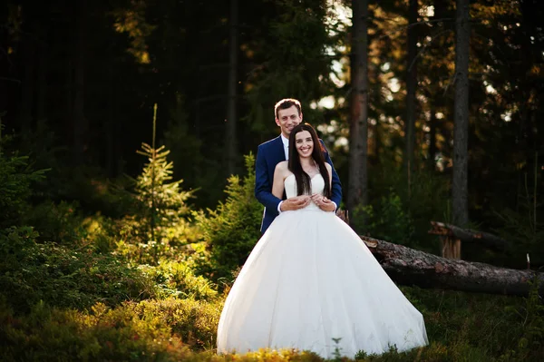 Beau couple de mariage au coucher du soleil dans les montagnes des Carpates . — Photo