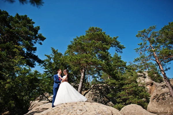 可爱的婚礼夫妇在惊人的景观与岩石 Dovbush，C — 图库照片
