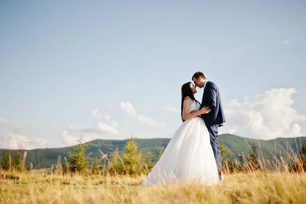 Hermosa pareja de boda en paisajes increíbles de Cárpatos mounta —  Fotos de Stock