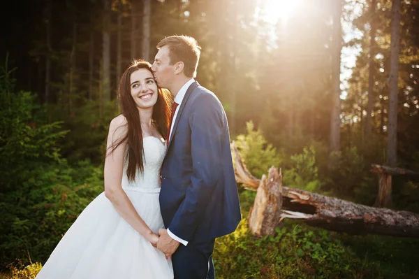 Beau couple de mariage au coucher du soleil dans les montagnes des Carpates . — Photo