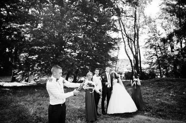 Wedding couple with bridesmaids and best mans drinking champagne — Stock Photo, Image