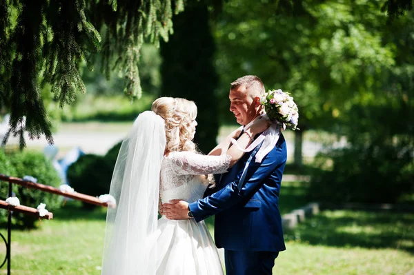 Feliz boda pareja en amor cerca de pequeño puente en parque en soleado — Foto de Stock