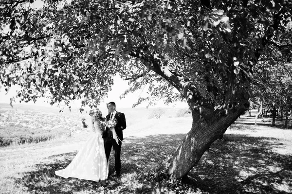Glückliches Hochzeitspaar in der Nähe von Bäumen am sonnigen Tag. — Stockfoto