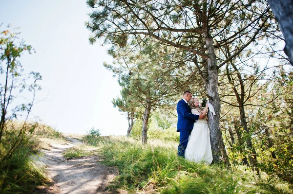 幸福的新婚夫妇在爱在阳光灿烂的日子留在树附近. — 图库照片