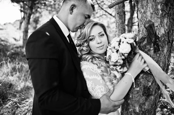 Casal de casamento feliz no amor no dia ensolarado ficar perto de árvores . — Fotografia de Stock