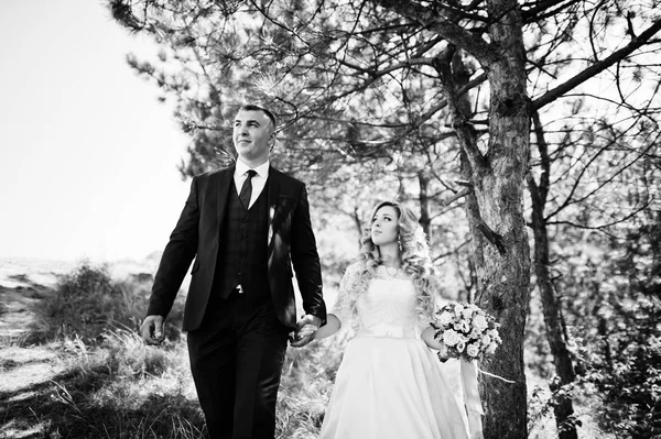 Feliz boda pareja enamorada en día soleado estancia cerca de los árboles . —  Fotos de Stock