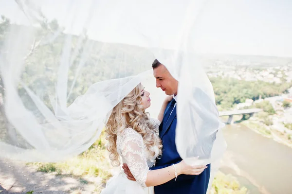 Hochzeitspaar umarmt sich unter Brautschleier gegen schöne Pfanne — Stockfoto