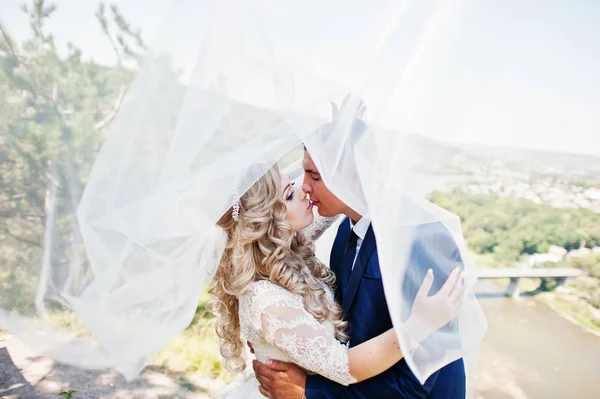 Boda pareja abrazándose bajo velo de novia contra hermosa sartén — Foto de Stock