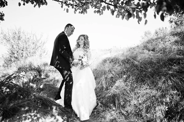 Ζευγάρι ευτυχισμένο γάμο στην αγάπη στην ηλιόλουστη ημέρα διαμονής κοντά σε δέντρα. — Φωτογραφία Αρχείου