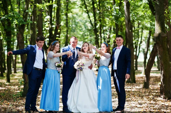 Hochzeitspaar mit Brautjungfern auf blauen Kleidern und besten Männern — Stockfoto