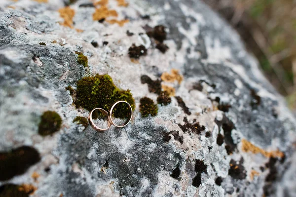 Wedding golden rings at stone with moss. — Stock Photo, Image