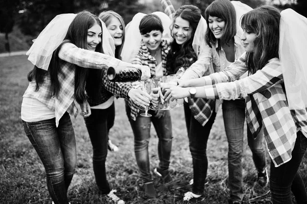 Seis chicas en camisas a cuadros bebiendo champán en despedida de soltera. G — Foto de Stock