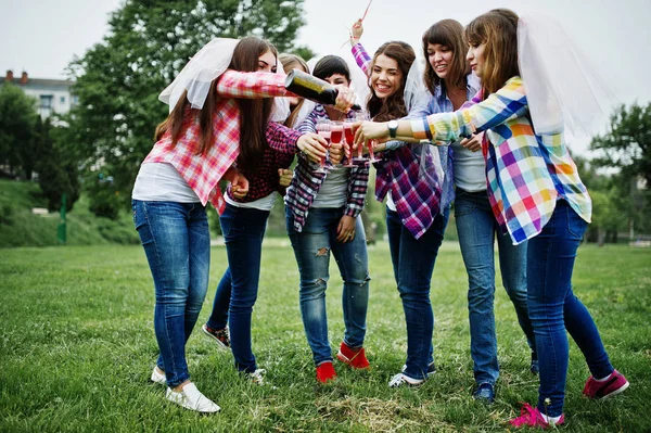 Seis chicas en camisas a cuadros bebiendo champán en despedida de soltera. G — Foto de Stock