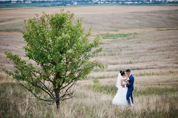 Schönes Hochzeitspaar steht mitten auf der Wiese ne — Stockfoto