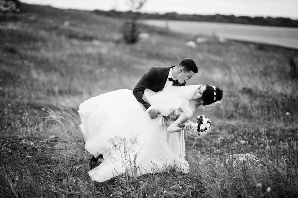 Fantástico casal de casamento andando na grama alta com o pinheiro — Fotografia de Stock