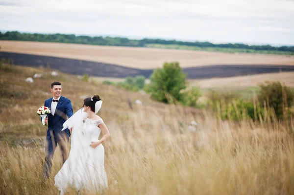 Fantastiska bröllop par promenader i det höga gräset med tallen — Stockfoto