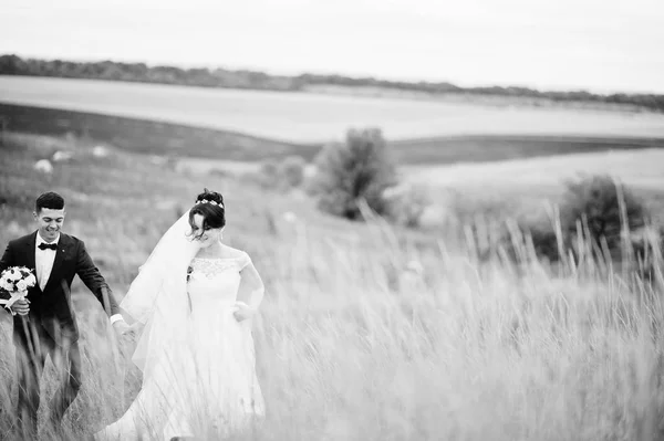 Fantastische bruidspaar wandelen in het hoge gras met de pine — Stockfoto