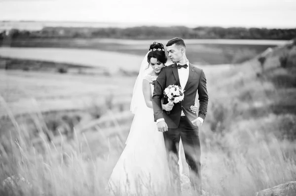 Fantástico casal de casamento andando na grama alta com o pinheiro — Fotografia de Stock