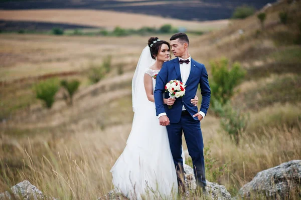 Fantastische bruidspaar wandelen in het hoge gras met de pine — Stockfoto