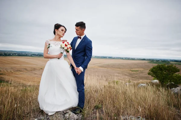 Fantastische bruidspaar wandelen in het hoge gras met de pine — Stockfoto