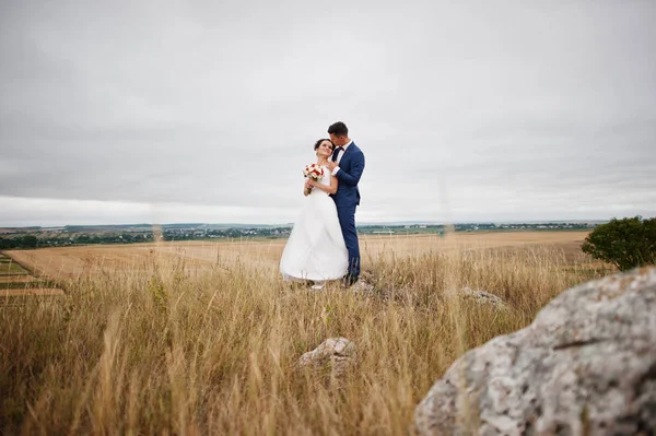 Fantastisches Hochzeitspaar im hohen Gras mit der Kiefer — Stockfoto