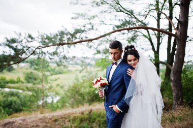 Birbirimizi bir çam tre hayran güzel genç Düğün çifti