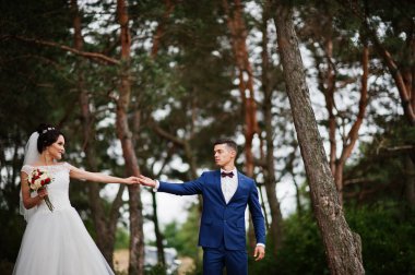 Birbirimizi bir çam tre hayran güzel genç Düğün çifti
