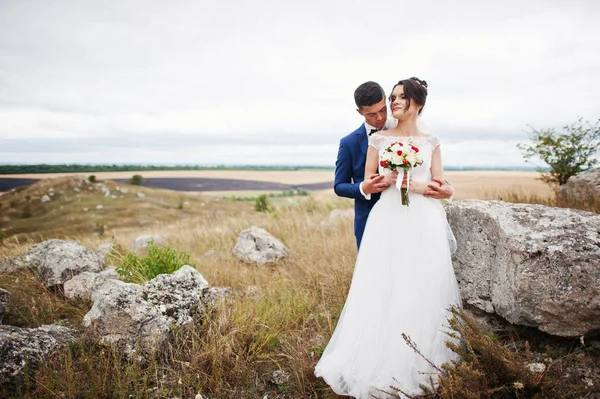 Фантастическая свадебная пара, прогуливающаяся по высокой траве с сосной — стоковое фото