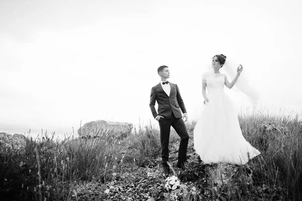 Fantastic wedding couple walking in the tall grass with the pine — Stock Photo, Image