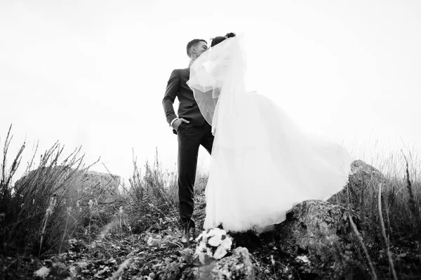 Fantastische bruidspaar wandelen in het hoge gras met de pine — Stockfoto
