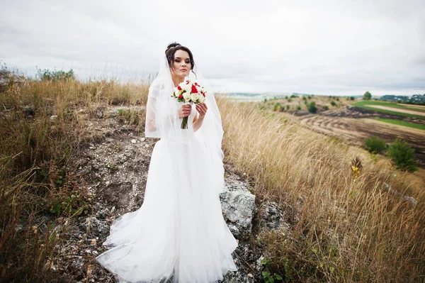 Seule belle mariée au milieu d'un paysage à couper le souffle w — Photo