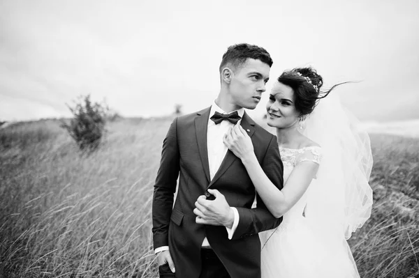 Fantastická svatební pár v vysoké trávě s borovice — Stock fotografie