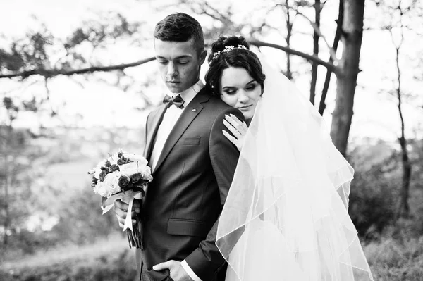 Birbirimizi bir çam tre hayran güzel genç Düğün çifti — Stok fotoğraf
