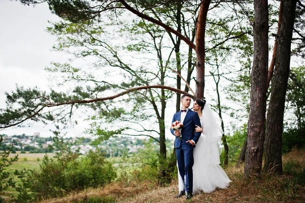 Bella giovane coppia di nozze ammirando l'un l'altro in un tre pino — Foto Stock