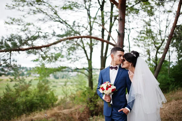 Beau jeune couple de mariage s'admirant dans un trèfle de pin — Photo