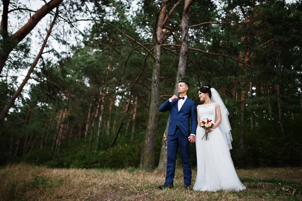 Hermosa joven pareja de boda admirándose en un trío de pino —  Fotos de Stock