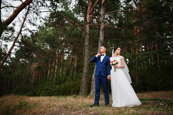 Beautiful young wedding couple admiring each other in a pine tre — Stock Photo, Image