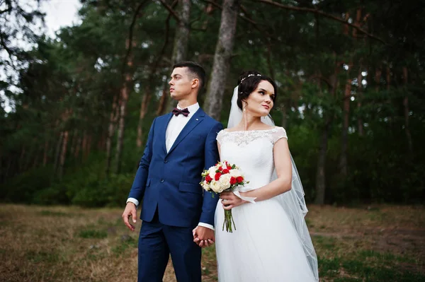 Mooie jonge bruidspaar elkaar bewonderen in een pine tre — Stockfoto