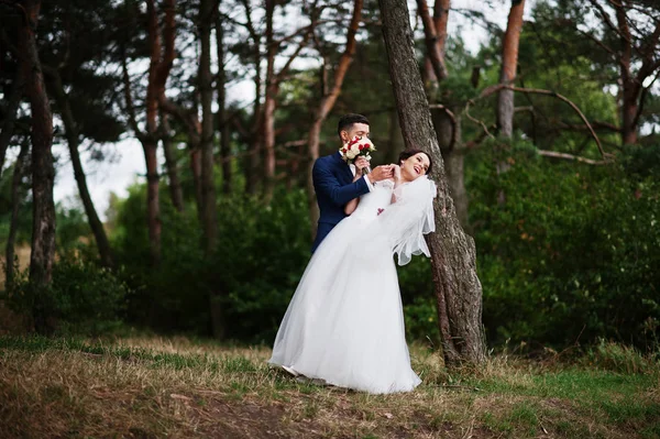 Krásná mladá svatební pár navzájem obdivoval v pine tre — Stock fotografie